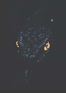 2026-01-27/afcc3831-b821-4c1a-abc6-5e54a8cf2014