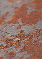 2026-01-28/4f342f54-fbc6-439c-9951-72e7bd2bed13