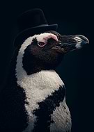 2026-01-28/be0fa8fb-9af8-4f65-9cda-5dbc2a49d19c