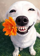 2026-01-28/c78cb94e-f21c-42c1-bba7-3e89c445a4db