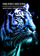 2026-01-29/435b4d7d-e55c-47cf-94d8-0d132cf67d2a