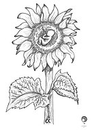 2026-01-31/25846585-95d2-4ce1-93c0-cee455c936e0