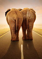 2026-01-31/d07ca3d0-8b6f-4c5c-87f0-23fd284e5658