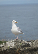 2026-02-01/0f8ddb9c-8bd0-4d14-8368-ad912a8b8b67