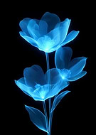 2026-02-01/1a553cd9-868d-457c-95e3-7cba877c975f