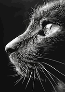 2026-02-01/2fff791d-2c25-485e-ad1a-8bdaaad27718