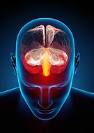 2026-02-01/3664d488-2734-4b20-b527-ecd704baebdc