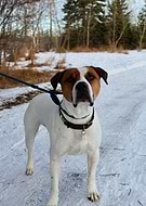 2026-02-01/740f8489-30ce-431e-b99b-619d1358d8b5