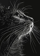 2026-02-01/cc38051d-78f0-4621-8602-787c95fa1615