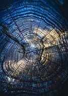 2026-02-02/05a769cf-b287-4658-ac6d-63c7fd1d34b7