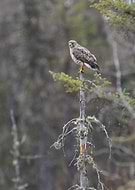 2026-02-02/99c109d8-1da4-4087-9f49-a01c45bfd4e7