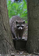 2026-02-02/f1450a2c-7d71-4092-940b-241f040e9db6