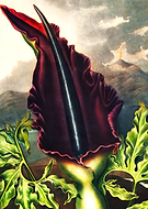 2026-02-03/25fa9b9b-1ac3-4047-be4c-26543d39fbb2