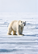 2026-02-05/772de99f-99d7-4dc7-b20d-093f76eaff21