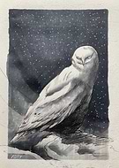 2026-02-06/16ecd1fc-9dde-4944-a6f3-dca965a5cd63