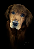 2026-02-07/1bcee80f-312f-425f-87a4-a1fa9b8a2c4c