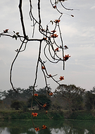 2026-02-07/c3bead58-4f1a-4b27-8ea3-1095fc19dd71