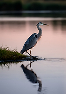 2026-02-08/12d51e13-f221-45ae-a62d-a95211733941