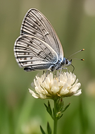 2026-02-08/6ba76f33-4597-4d79-a22b-7e85eedd2b1d