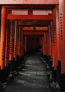 2026-02-09/0e136e46-b546-4d8c-ba03-0c860a1ecb81