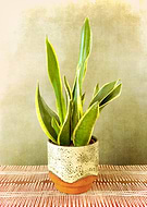 2026-02-09/3a71883e-2415-4b3a-955b-22e860a5bd29