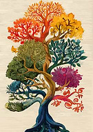 2026-02-11/72239582-a8ee-42d2-b28d-0b2121ee80b4