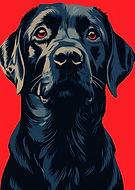 2026-02-11/82339dd5-8c1f-465c-b9da-9d55f1f46096