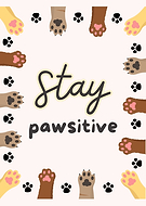 2026-02-12/24b9a5af-2b8a-4d81-a5ce-80f3c292ae50