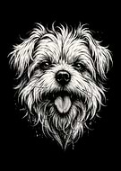 2026-02-13/04737f6e-2374-49dc-aede-51ebfe7f2250