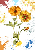 2026-02-13/04808e7a-b4ba-4a78-82e7-fad6697e617c