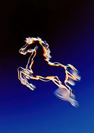 2026-02-13/3c937047-0f88-46d3-bf94-8dabcf9da948