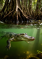 2026-02-14/31f56319-8fa9-4379-b57c-51a7ef4bc9a2