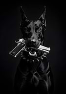 2026-02-17/4a965918-1256-4e62-aabc-070f387b9dba