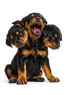 2026-02-17/91e358cd-148f-45c2-b61a-776a934df545