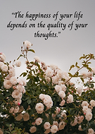 2026-02-17/d3d553fd-86a1-4b62-8bee-4d0a2ac60003