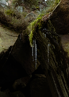 2026-02-19/41231909-574a-4996-9280-af6bf1a9518e