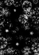 2026-02-21/744fa658-6e8c-4836-b07f-50ba6742a962