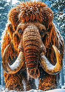 2026-02-24/705994e5-ac97-414d-8ff5-91b176e6e46d