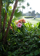 2026-02-24/b87fa1cb-c04e-4b5f-aca9-a5765143402b