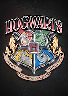 collection-preview-2