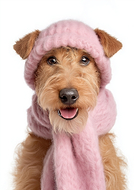 2026-02-25/a83fce31-0aea-4174-8ad8-b2cf96c3f43c