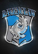 collection-preview-1