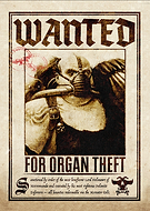 collection-preview-3