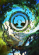 collection-preview-2