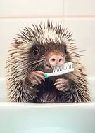 2026-02-26/e907a25b-540e-401a-b94e-870017970de9