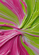 2026-02-27/ad3b9d16-d5a1-4f31-b66c-63605e1645b9