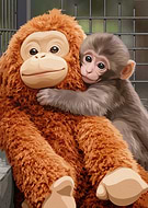 2026-03-03/93fb22bf-9f61-4fcb-bf93-2dad4582b33c