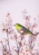 2026-03-03/ccaf276e-d467-4d7c-995d-d108b8110491