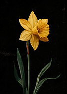 2026-03-04/15c64175-afb8-4d4b-b0db-da06f72774f6