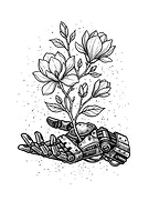 2026-03-04/c5d248a1-6d7b-4b1b-8ada-7a6cc9960ca8